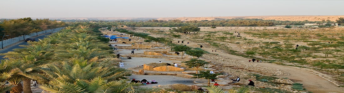 Development of Wadi Hanifa